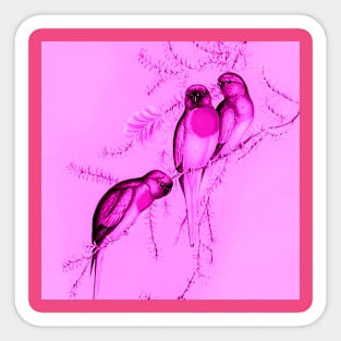 Birds on pink Sticker